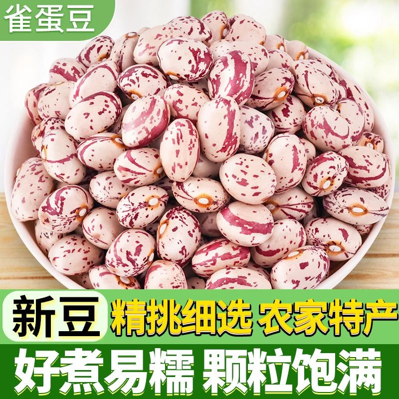 云南雀蛋豆新货大颗粒熊猫豆奶花芸豆孔雀豆五谷杂粮粗粮豆类250g
