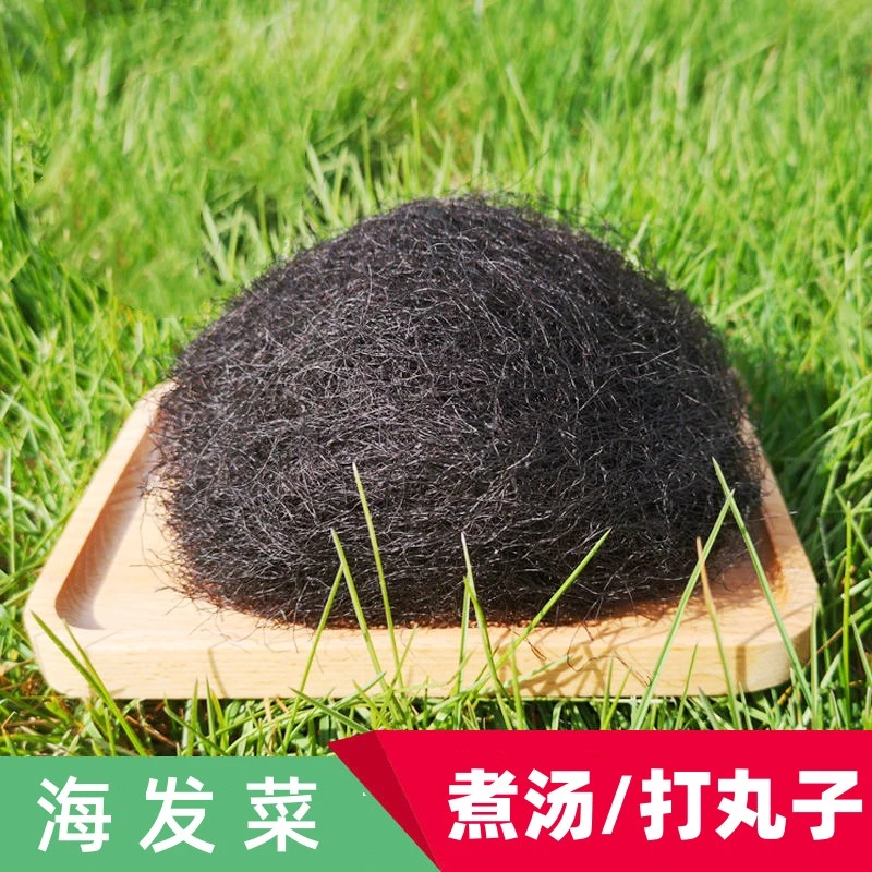 南澳特产海发菜干货头发菜发财汤海藻类日晒沿海龙须菜福建特色菜