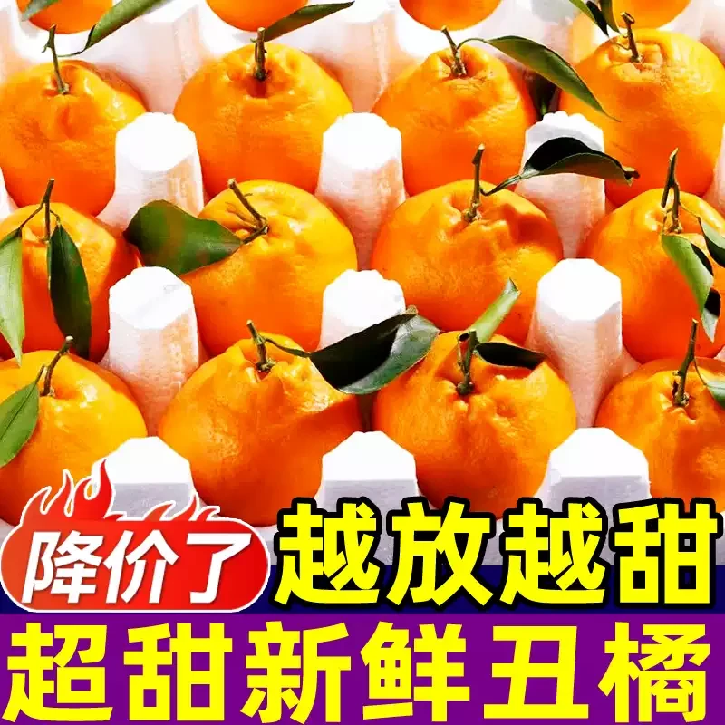 【丑橘】超甜丑橘原产直采新鲜发货