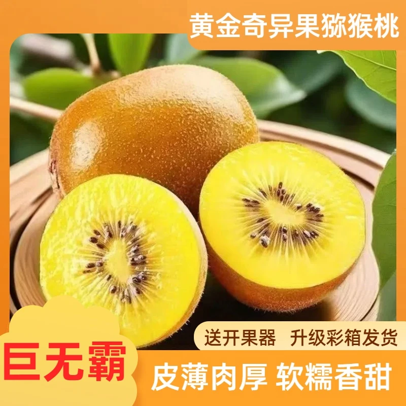 巨无霸【黄金奇异果猕猴桃】软糯香甜130-150克单果(送开果器)