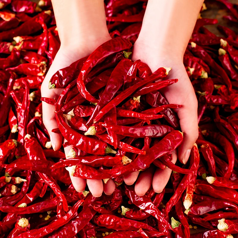 果三观自然风干特辣印度魔鬼辣 小米辣 巨辣 香辣微辣干红辣椒面