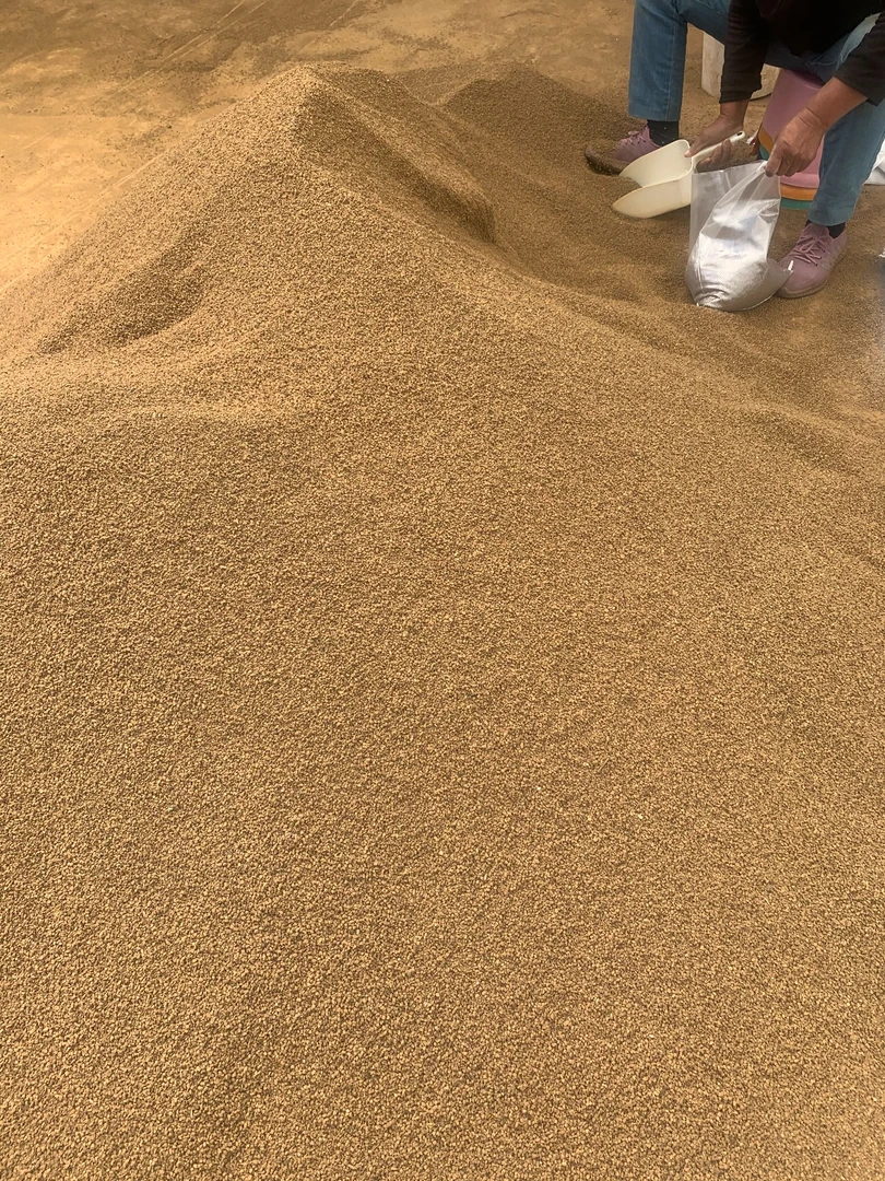 风化砂颗粒(10送1单)申通快递包邮