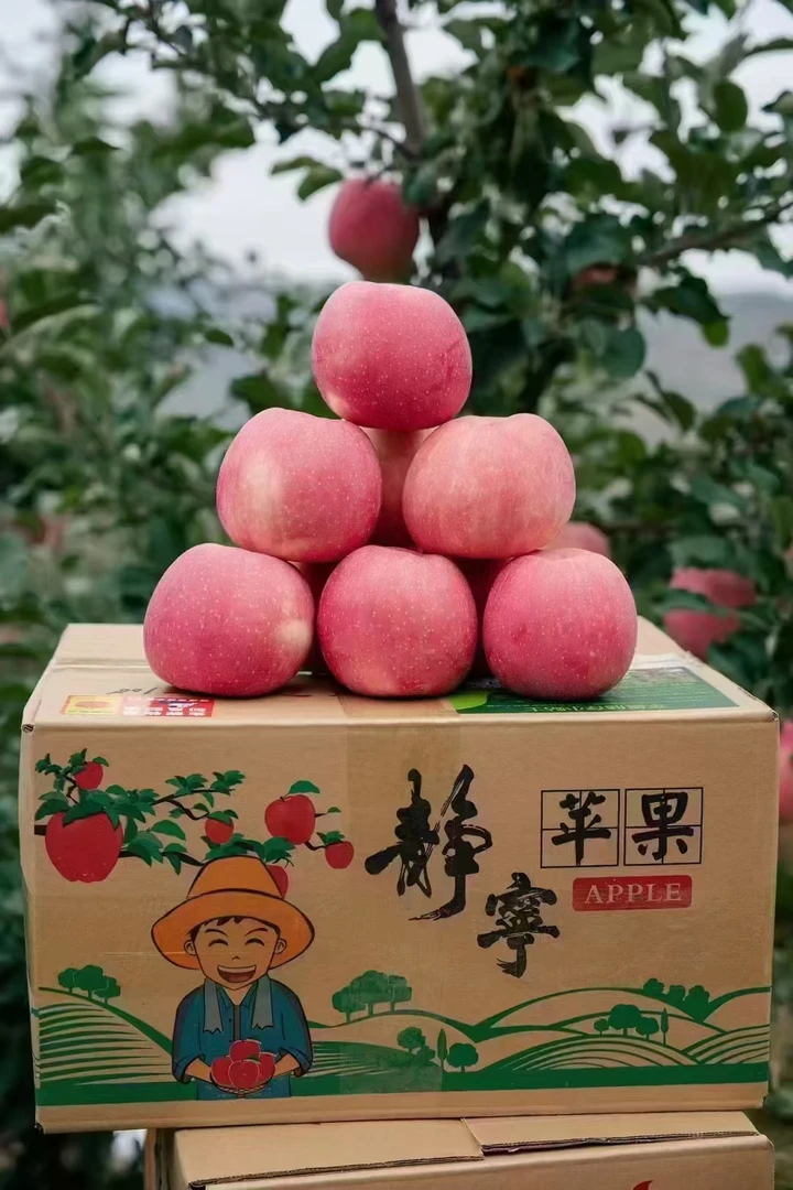 新当季水果现摘现发红富士苹果静宁雪原苹果脆甜嫩汁100%冰糖心