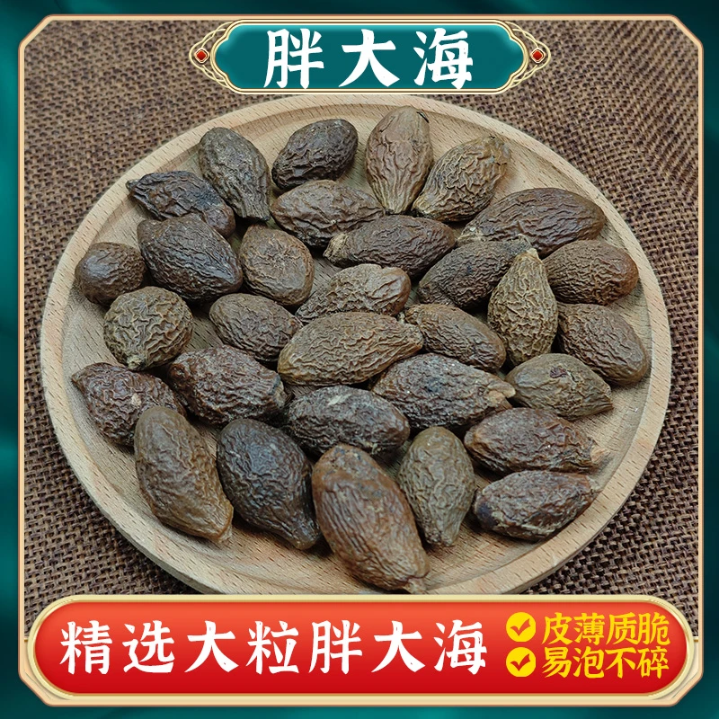 【胖大海】正品正宗精选大粒胖大海搭配菊花罗汉果泡水煮茶100克