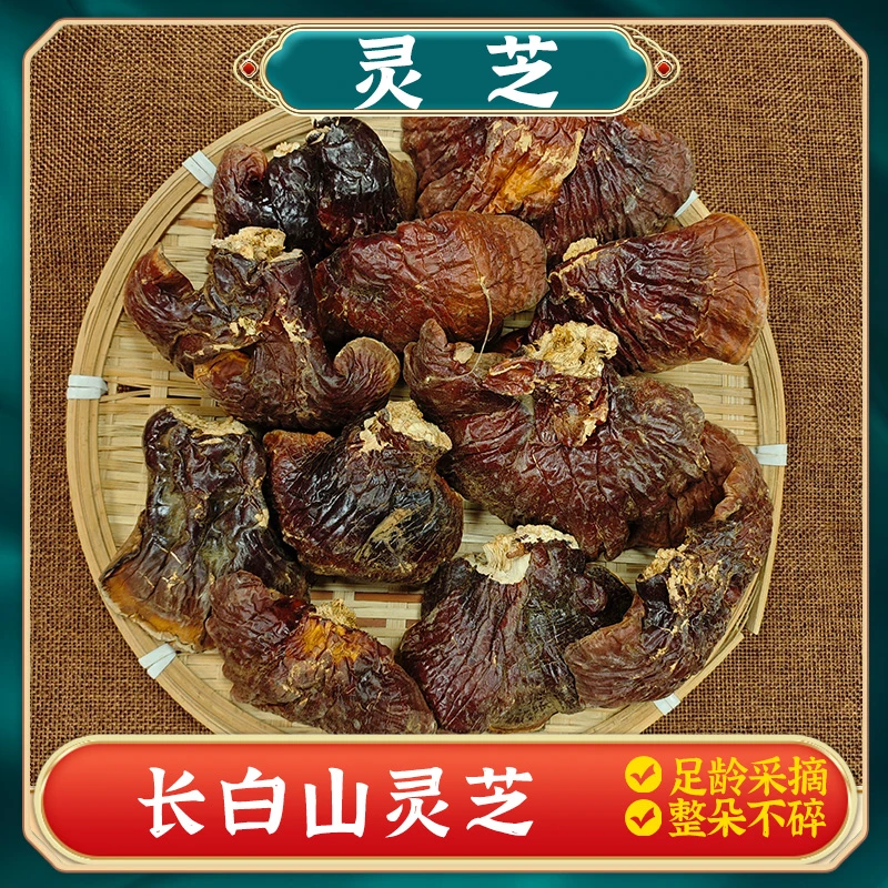 【灵芝】长白山深山整株灵芝干货整朵灵芝草250克