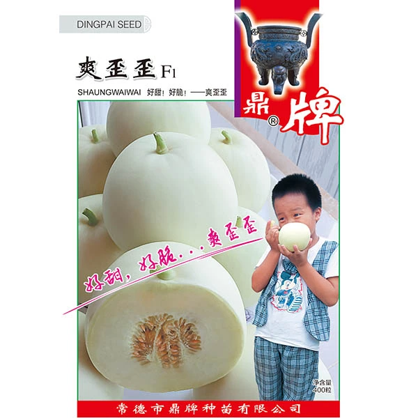 鼎牌 爽歪歪 早熟甜瓜种子 润白色 甜度高达19度 酥脆口感 高产