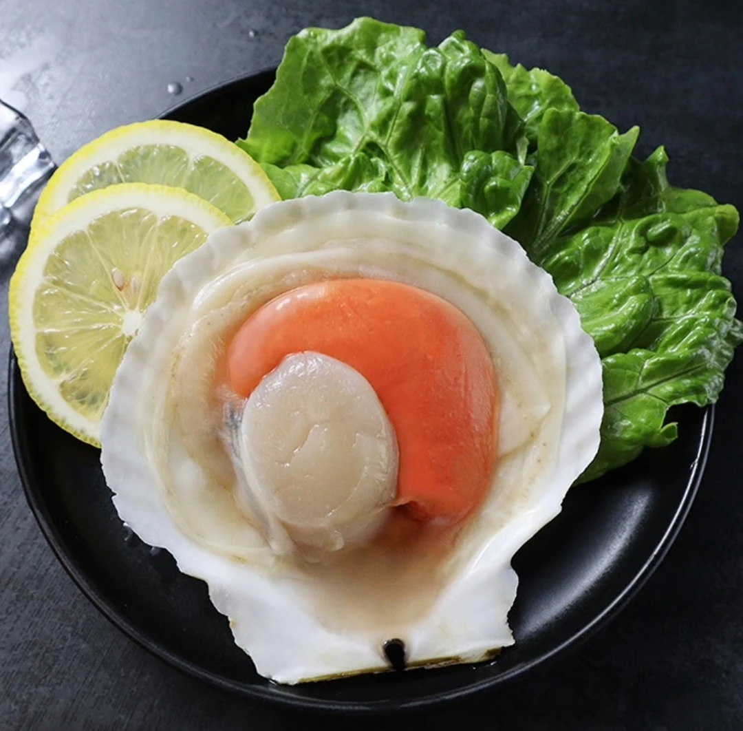 半壳扇贝大号蒜蓉粉丝扇贝烧烤火锅食材原壳扇贝9-10厘米15只