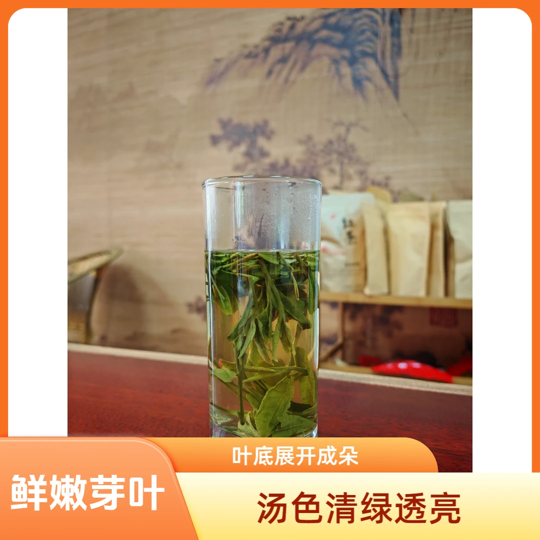 侗珍茗贵州绿茶茶生态绿茶浓郁回甘茶叶