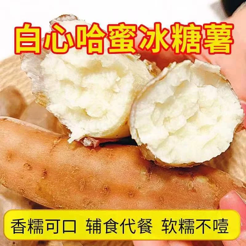 沙地白心哈密美味香甜蜜薯净重5斤健康新鲜种植红薯原产地沙直发