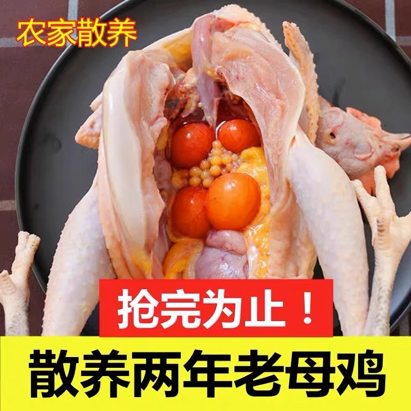 黄油老母鸡 月子鸡 单只2.5斤 买一赠二 到手3只 净重7.5斤