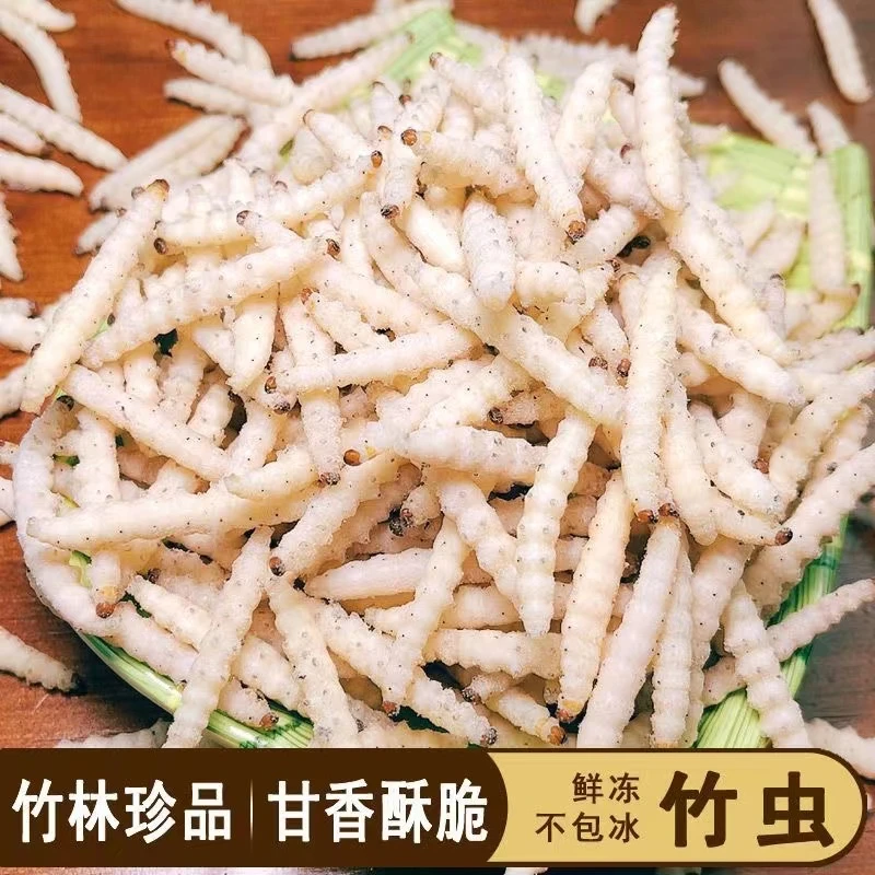 云南特色美食竹蜂虫笋虫鲜新活速冻竹蛹竹节虫干冻无冰衣顺丰包邮