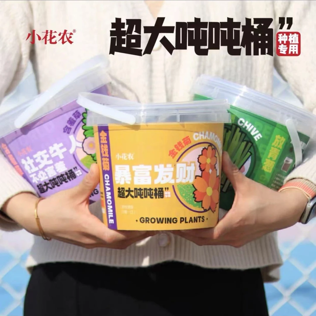 小花农场超大吨桶养花种子迷你植物diy盆栽儿童种植生长观察自种