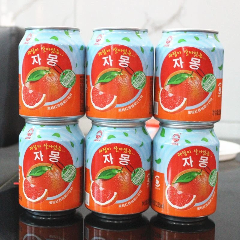 韩国风味果肉九日果汁饮料果粒果肉饮料西柚网红