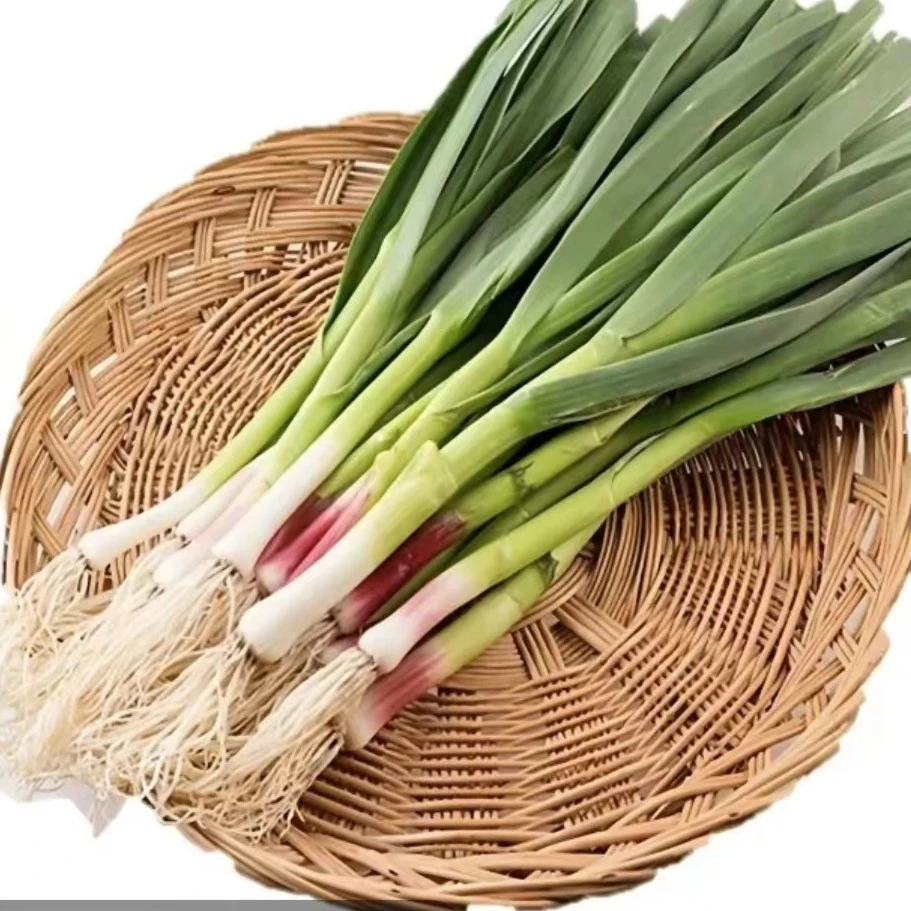 新鲜水洗 大蒜叶250g±20g【水洗的更省心！】