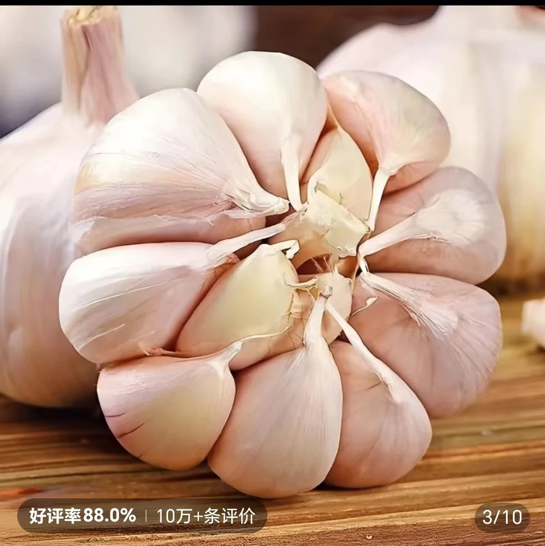 新鲜大蒜子 回购率高 300g±20g