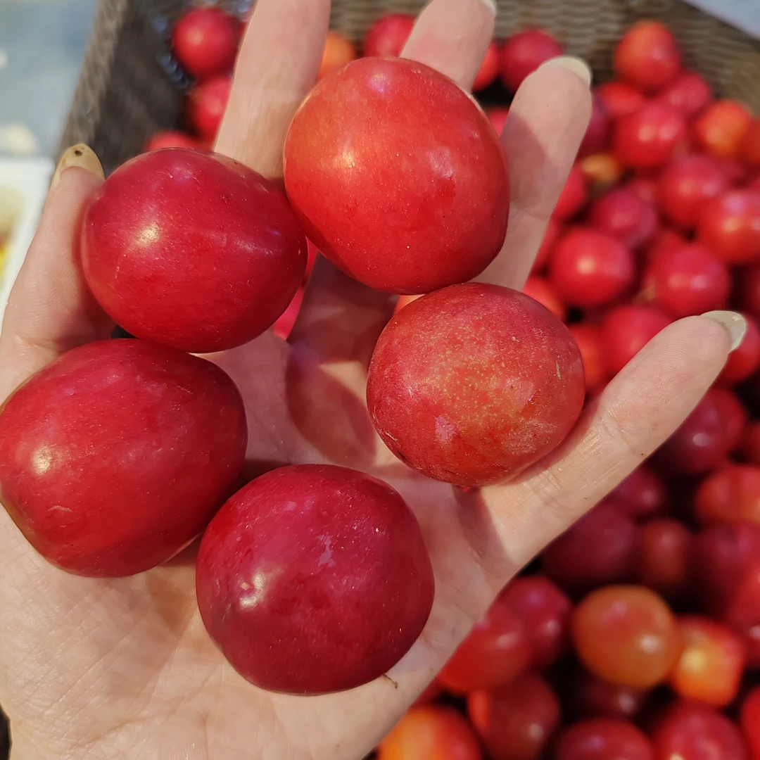红李 甜多汁 回购率高500g±50g