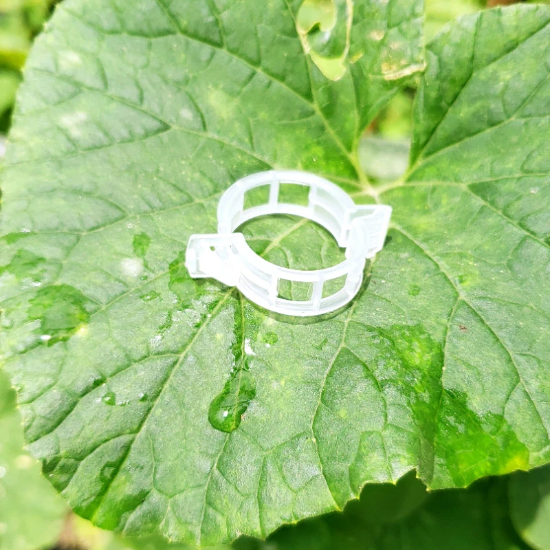 卡扣吊放器植物夹塑料绑蔓夹绑枝夹西红柿藤条塑料绑蔓夹固定夹子