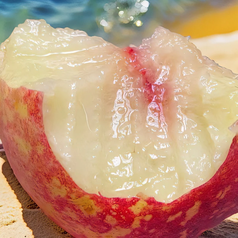 【金秋红桃】山东蒙阴金秋红蜜桃小冬桃新鲜水果果园直发