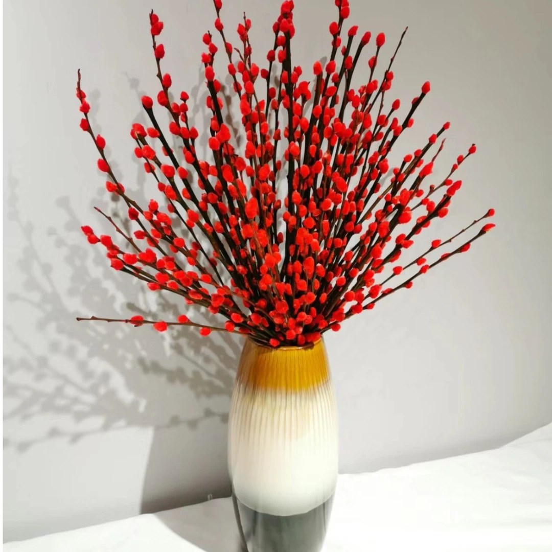 【年宵花卉】红色银柳真花鲜枝银柳耐寒年宵花水培花卉室内装饰花