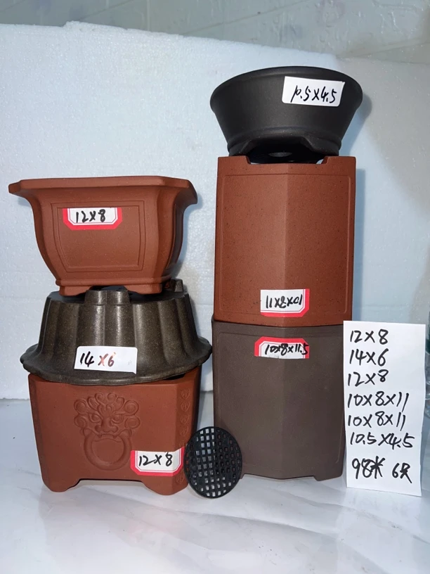 精品宜兴紫砂多肉绿植物文竹菖蒲简约桌面手工微型小花盆花卉新品