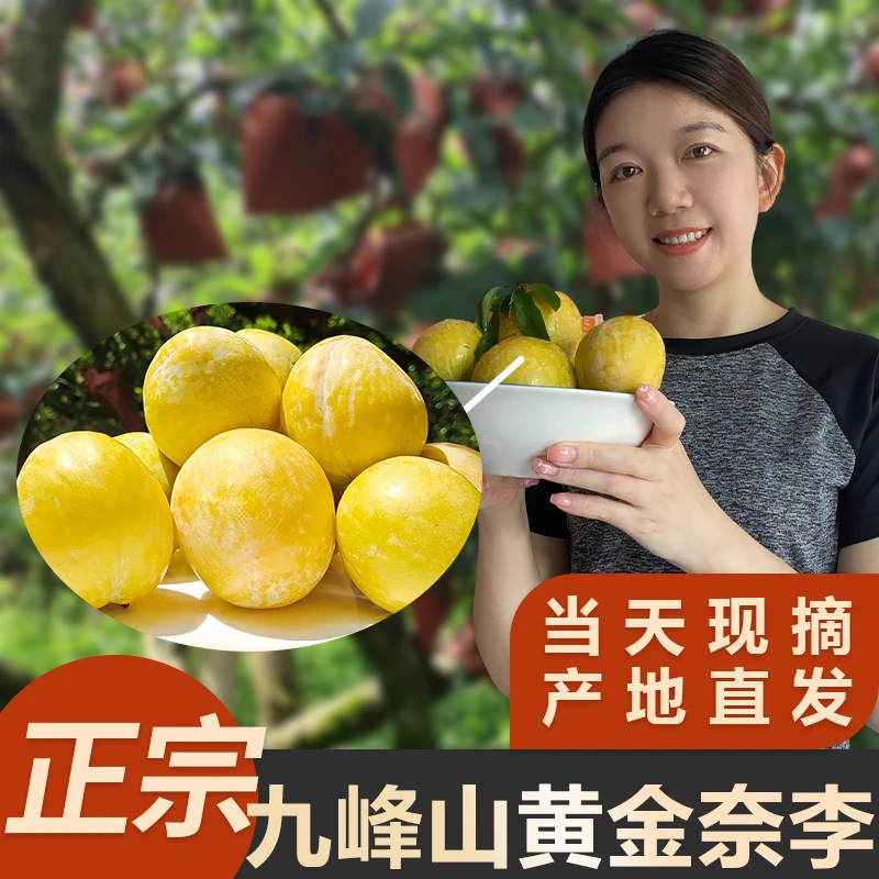 【九峰山】黄金奈李水果当季脱骨蜂糖李子新鲜孕妇水果脆甜可口包赔