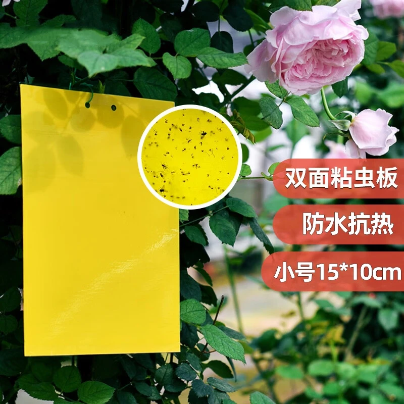 空消黄板双面粘虫板诱虫板纸贴大棚黄色灭沾果蝇诱捕器捕虫粘虫板