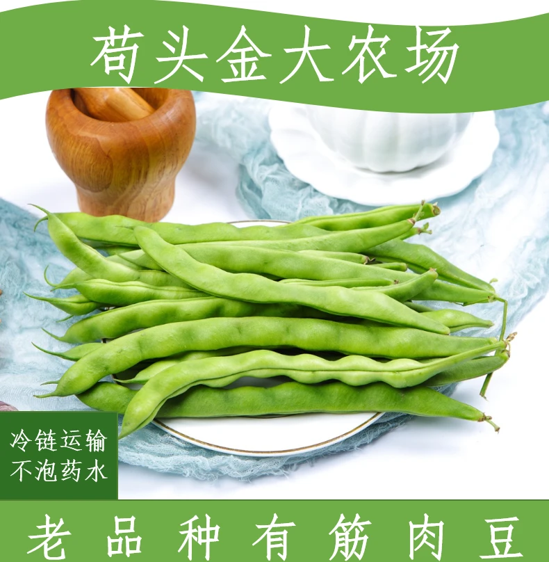 【肉豆】棒豆软豆四季豆有筋豆角大青豆香甜现采现发3/5斤
