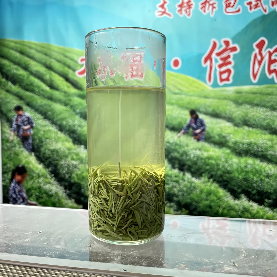 承福雨前嫩芽 2024信阳毛尖栗香型 高山口粮茶 散装茶叶