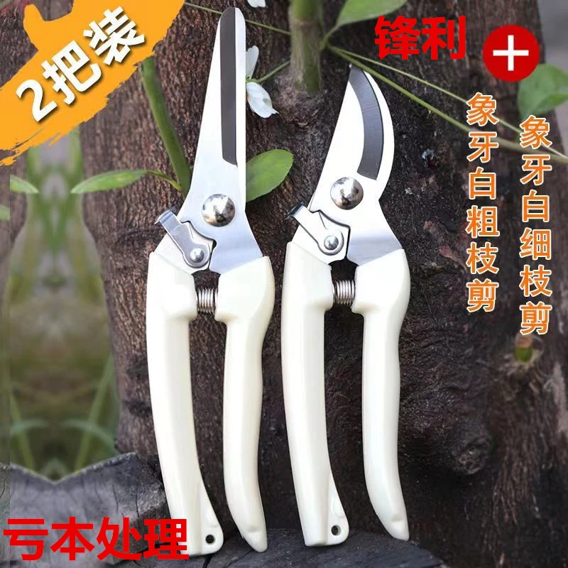 粗枝剪枝剪修枝剪刀果树剪子花枝剪修剪树枝园艺剪葡萄剪刀树耐用