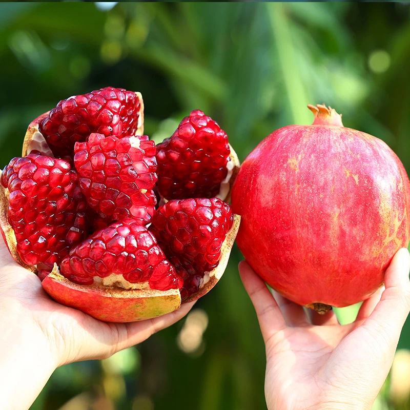 现摘现发会中秋理突尼斯软籽石榴孕妇水果礼盒300-400克6个装