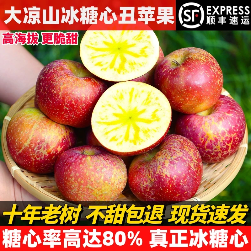2024年正宗盐源老树冰糖心丑苹果保糖心率脆甜香多汁新鲜现摘现发