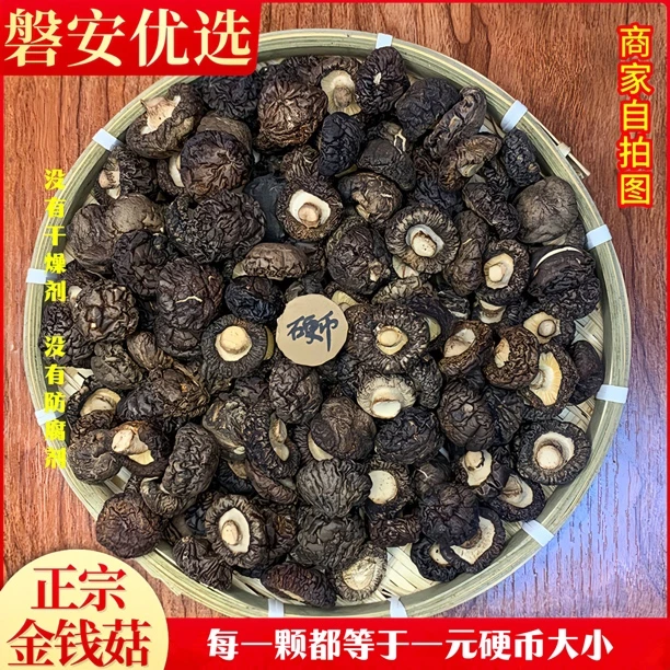 正宗金钱菇，磐安优选(黄金标准2.5CM大小）炒菜炖汤