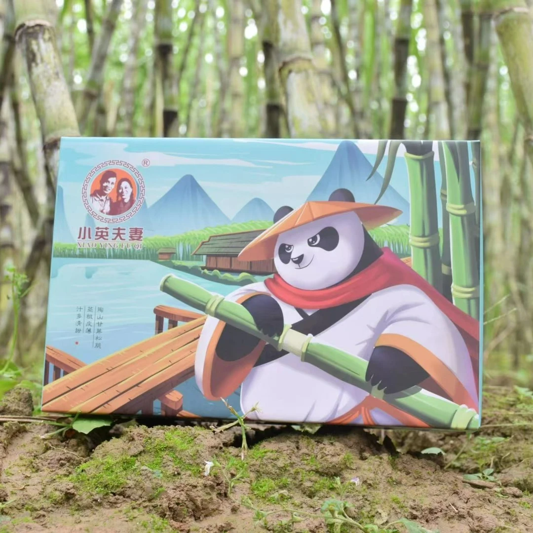 温州陶山青皮甘蔗5斤顺丰包邮 产地直发