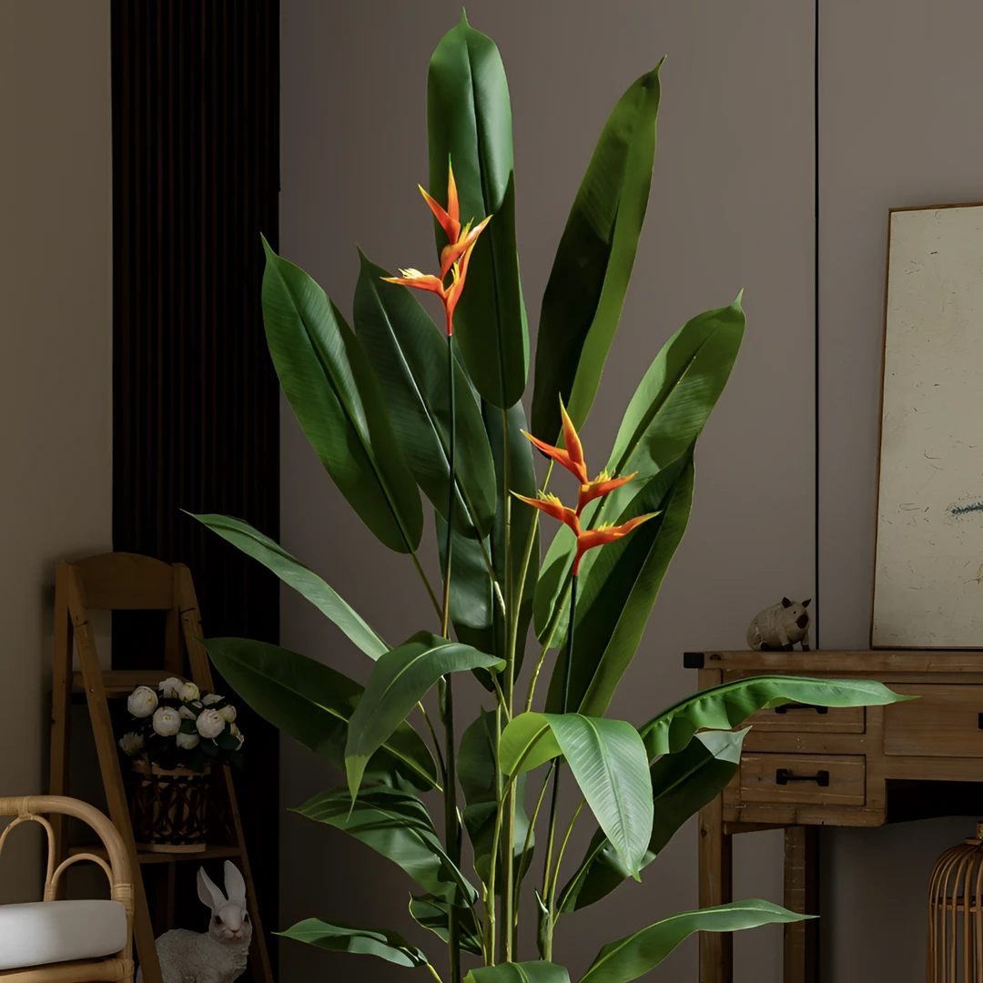 天堂鸟鹤望兰室内大型观叶绿植小盆栽美观清新空气四季常青包邮