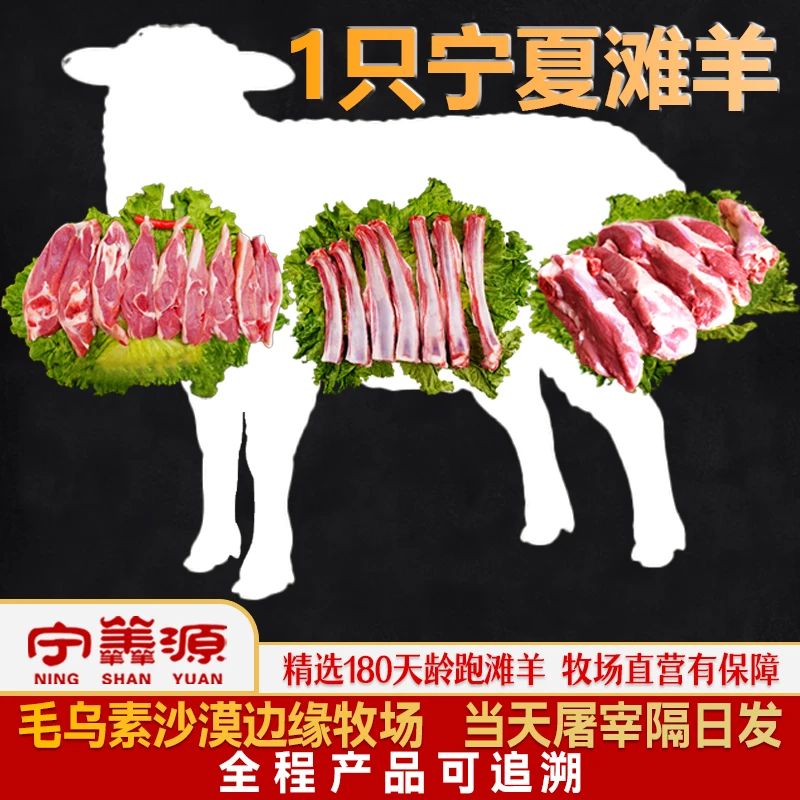 整只羊6斤（手把肉）云仓发宁夏滩羊肉牧场直发新鲜肉质细嫩不膻