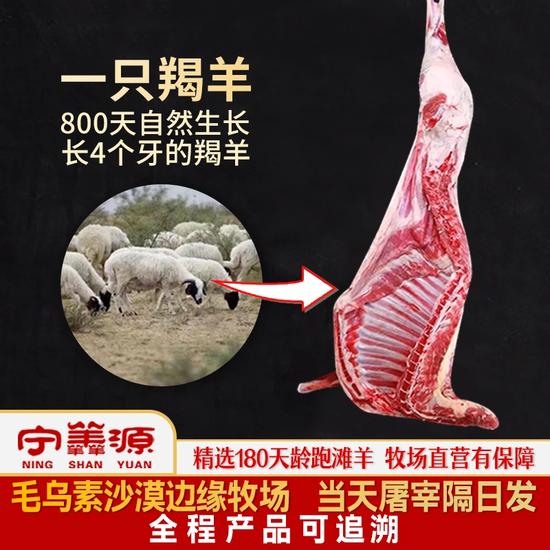 宁羴源宁夏滩羊肉-羯羊-半只整只 17斤10斤 800天龄优质 源头牧场