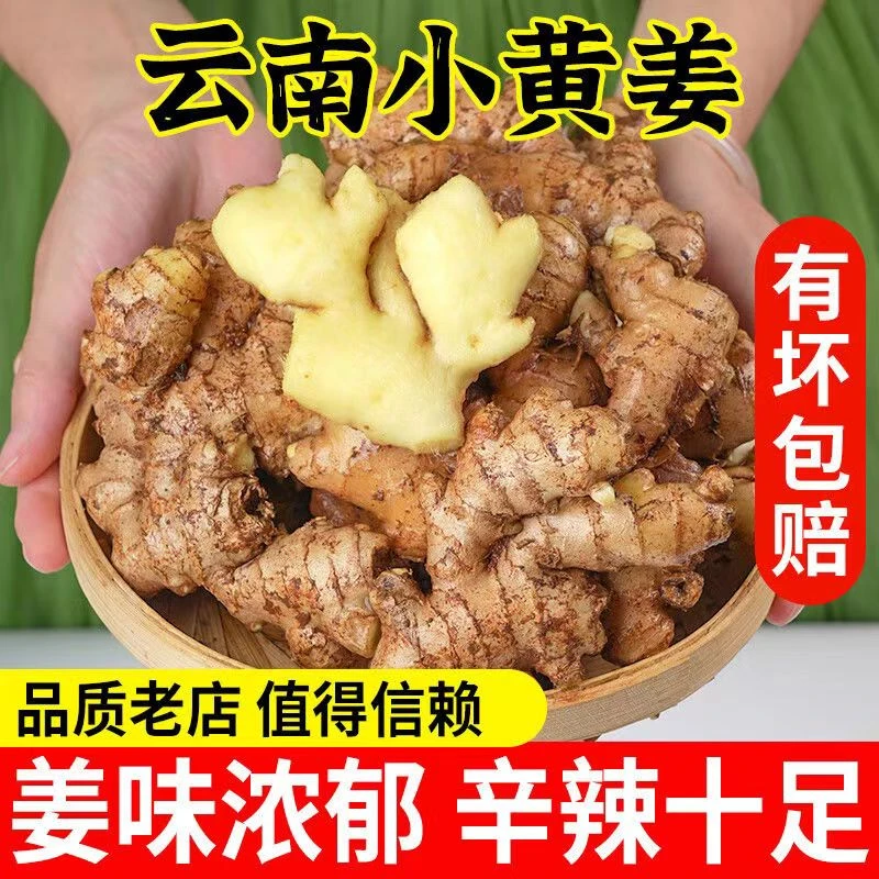 云南高山小黄姜2年老姜生姜月子姜山地姜产地直发煲汤做菜姜枣茶