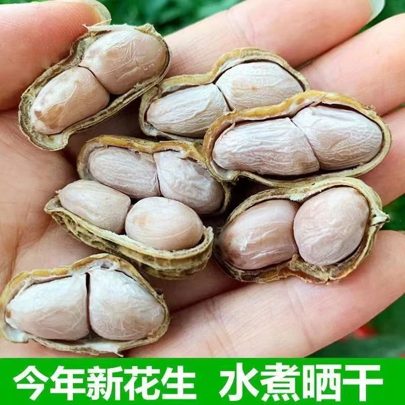 23年新货多味花生休闲坚果零食小吃五香蒜香花生水煮花生特产干果