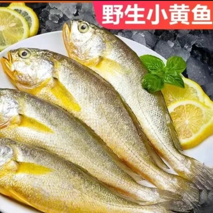 吕四野生海捕新鲜小 黄鱼/黄花鱼9-10条/斤 发货5斤