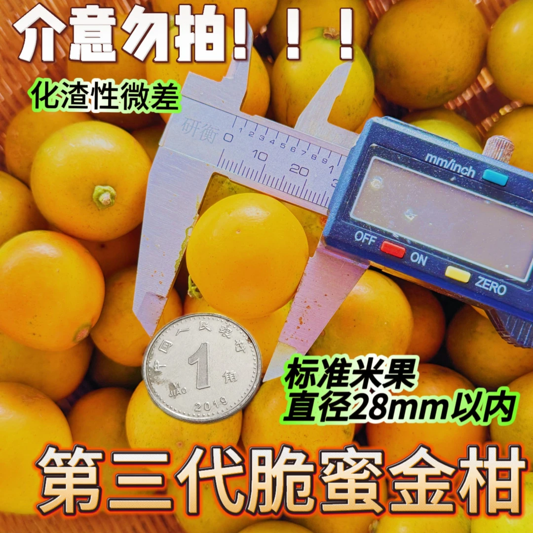 【限量特价款】第三代融安脆蜜金柑，纯甜无酸无籽无核，顺丰包邮