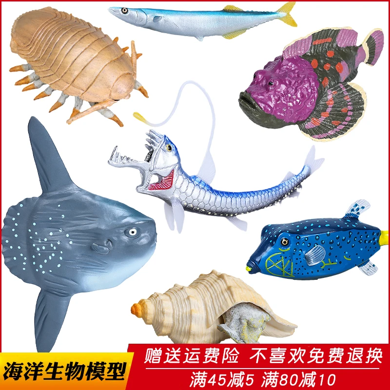 仿真海洋生物模型大王具足虫蝰鱼秋刀鱼石头海螺玩具儿童科教礼物