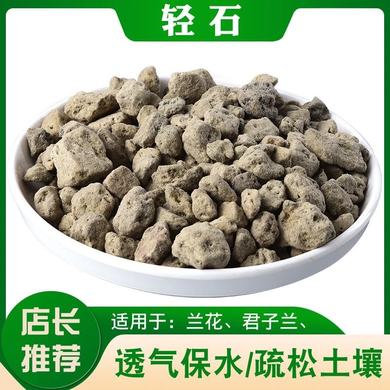 【朝鲜轻石】浮石钵底石兰石媲美日向石多肉兰花铺面垫底水族滤材