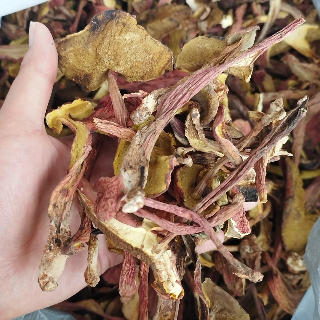 佤乡山货推荐【红葱牛肝菌】好货推荐