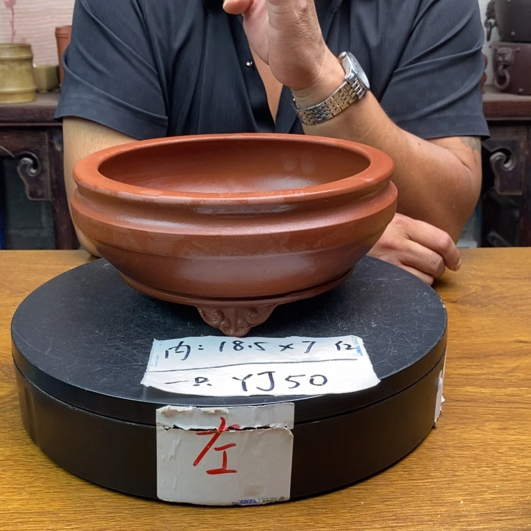 红陶20CM以下货号一只YJ50