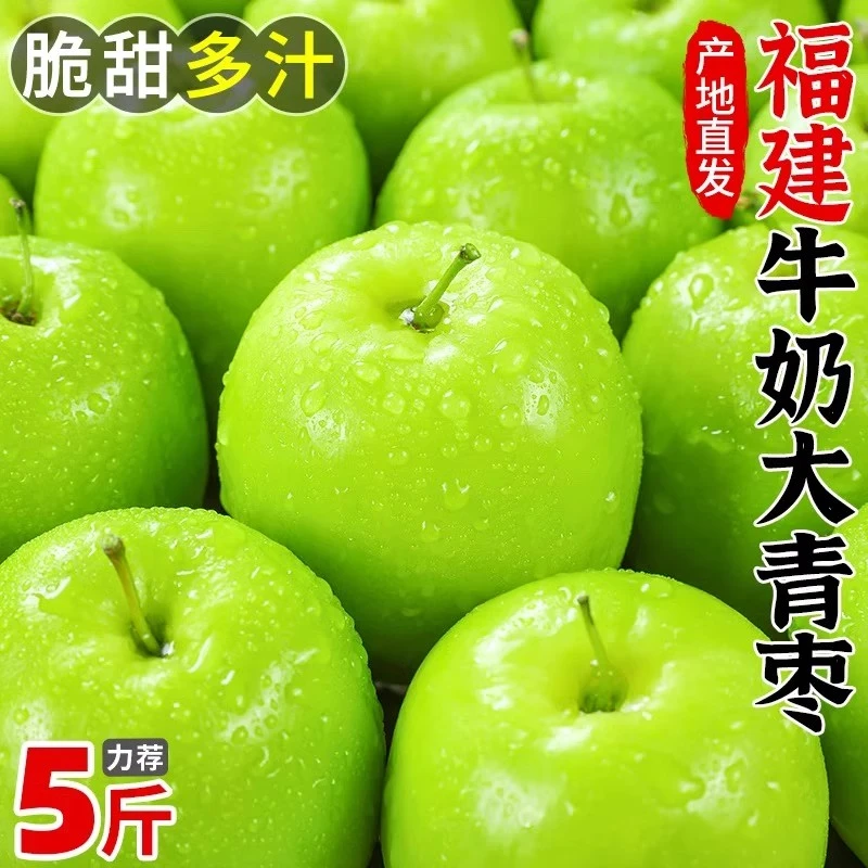 福建牛奶大青枣五斤包邮农家现摘现发新鲜清甜爽口香甜果园甄选