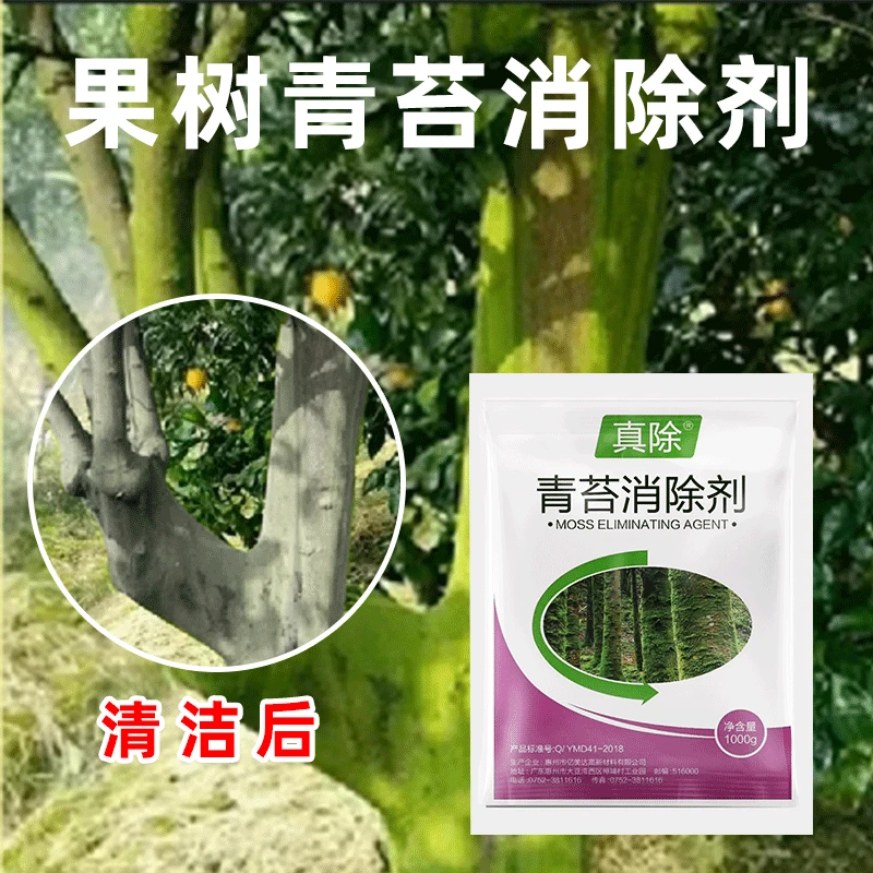 青苔去除剂水泥地面专用青苔克星墙面苔藓果树青苔清除剂通用