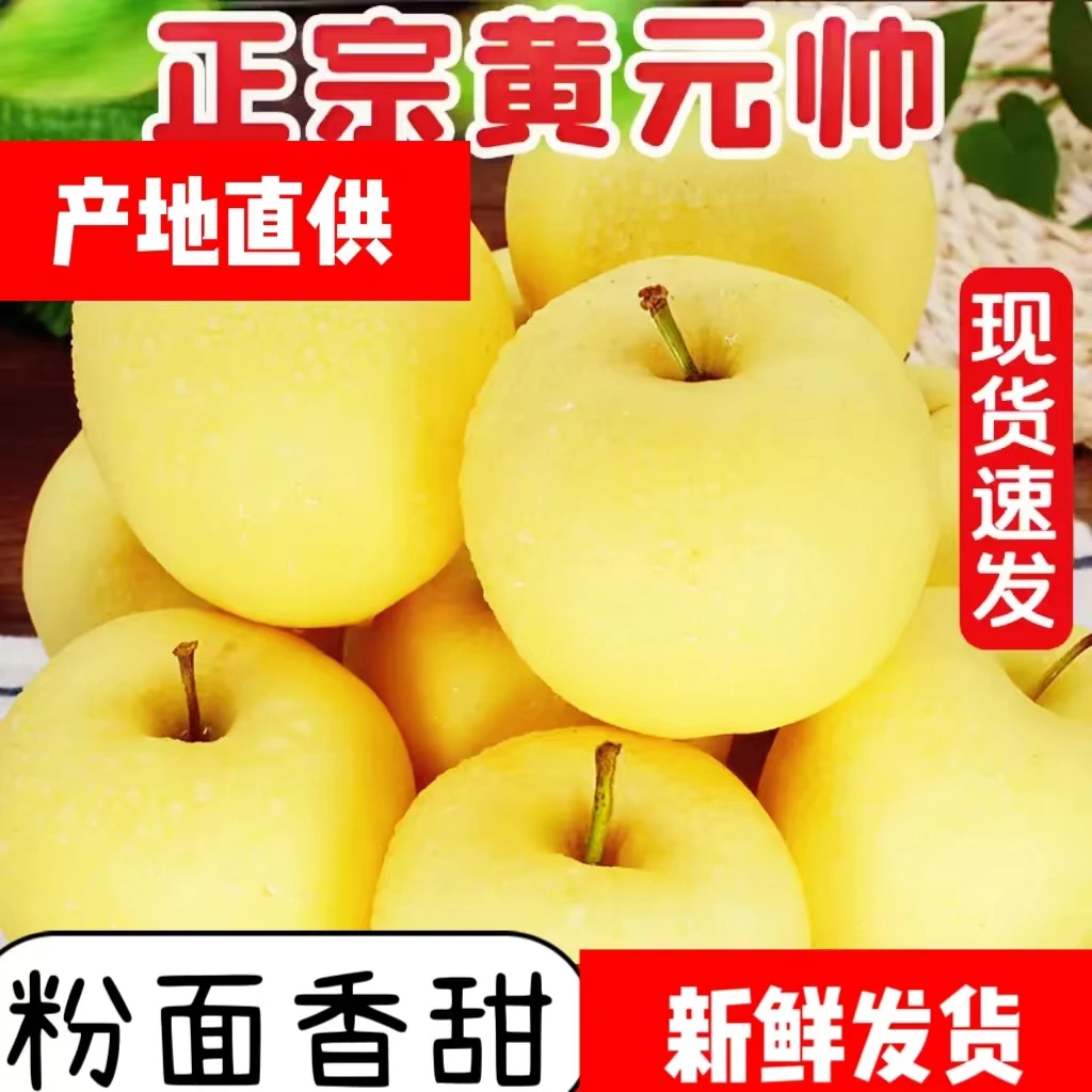 黄元帅苹果新鲜辽宁水果粉面果刮泥果老品种黄金帅正宗黄香蕉苹果