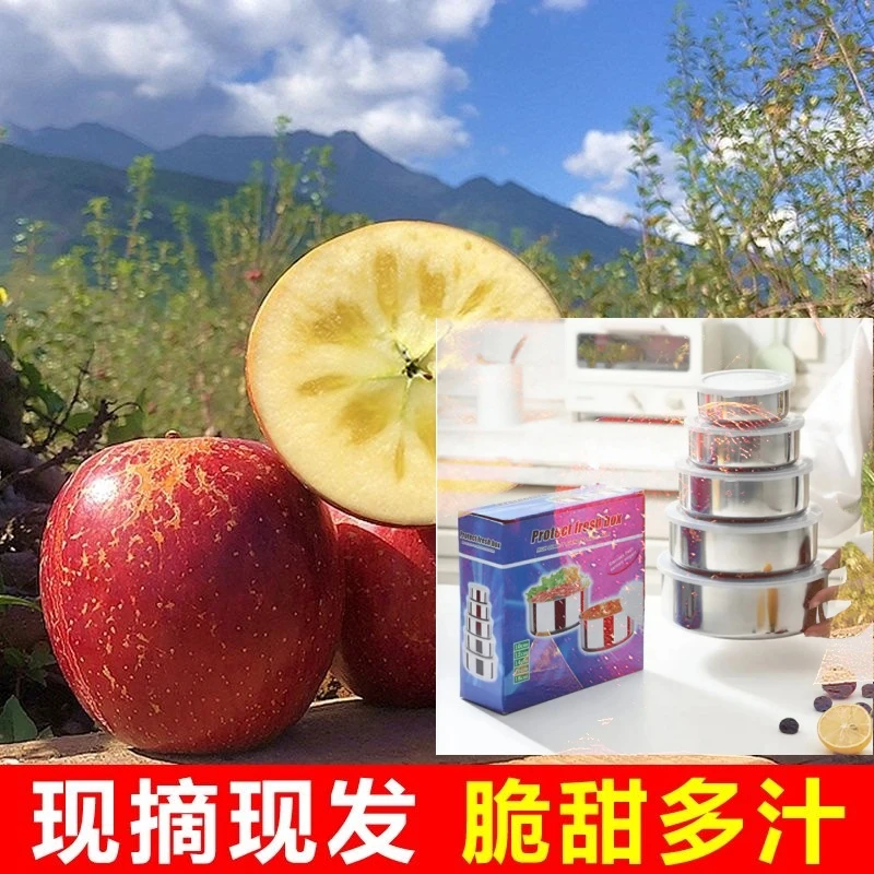 DS【五件套】苹果可装盒