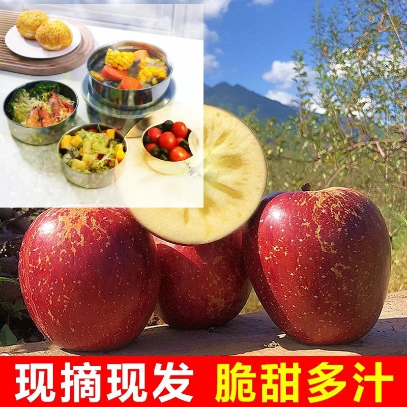 DS【五件套】带盖苹果盒红富士苹果零食便当盒黄元帅苹果可盛装盒装