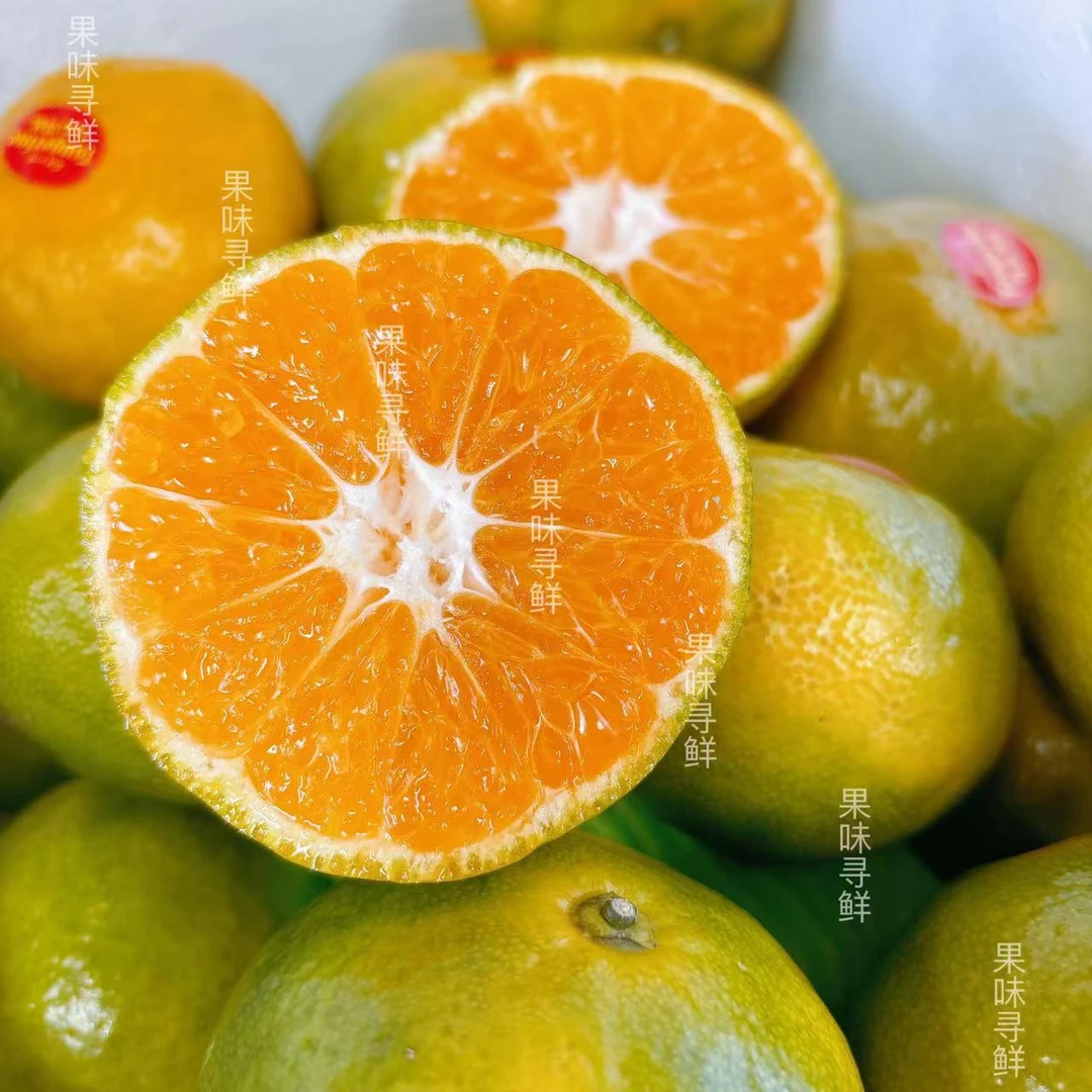 Tangerine 红土爆橘 橘味浓郁 净重5.7斤 毛重6.6斤 大概28颗左右